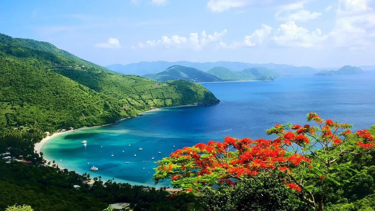 高标准电子环保